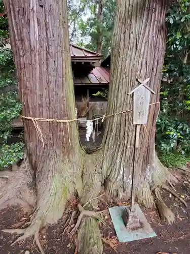向田神社の自然