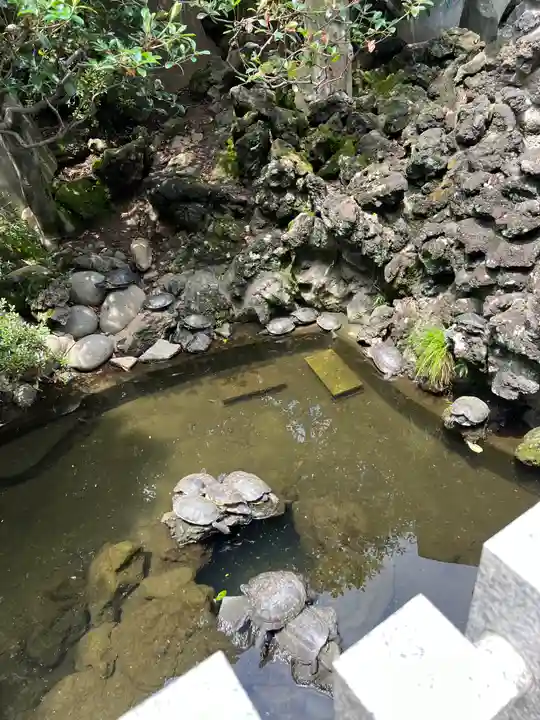 成田山川越別院(埼玉県)