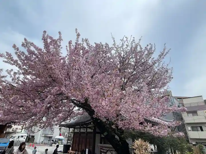 感通寺の御朱印