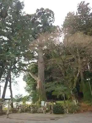 飛龍八幡宮(山口県)