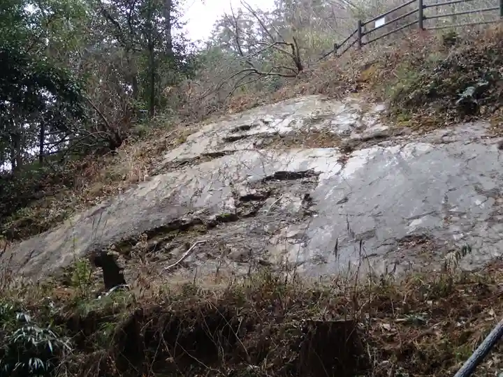 武蔵二宮 金鑚神社の自然