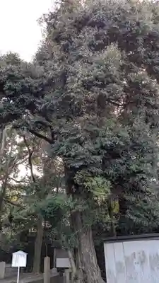 宇治神社(京都府)