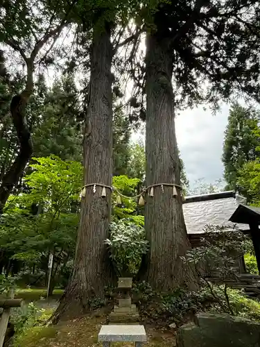 如法寺（鳥追観音）(福島県)