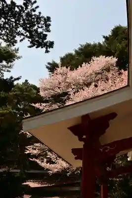 日輪寺(茨城県)