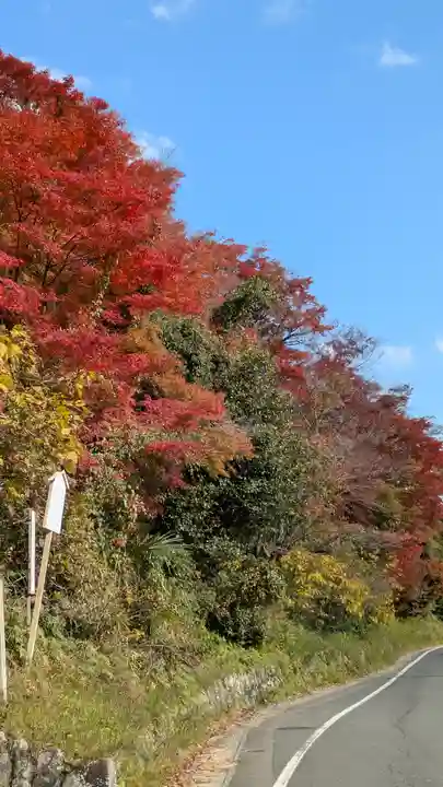 十輪寺(京都府)