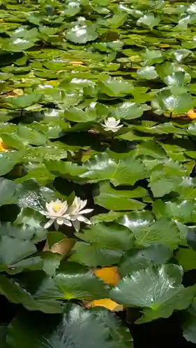 大原野神社(京都府)
