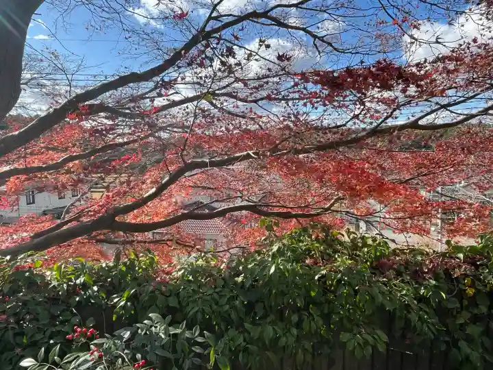 正法寺(福岡県)