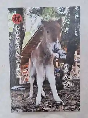 平塚八幡宮(神奈川県)