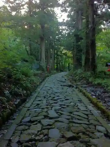 大神山神社奥宮の自然