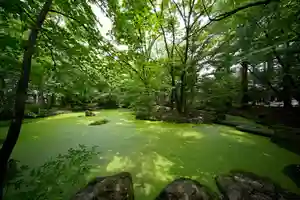 帯廣神社の庭園(2022年06月20日(月) 11時22分53秒投稿)