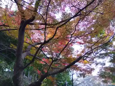 八坂神社(滋賀県)