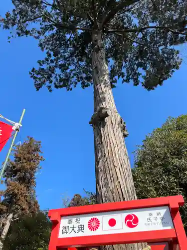 磐裂根裂神社(栃木県)