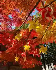 滑川神社 - 仕事と子どもの守り神の自然