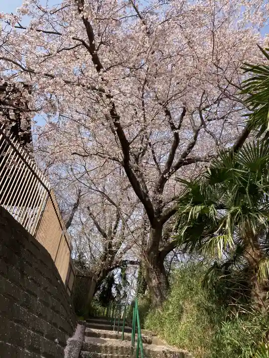 常照寺(神奈川県)