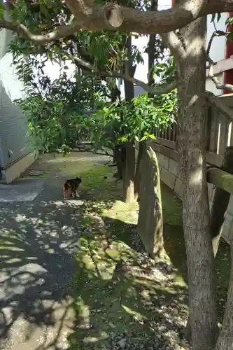 太宗寺(東京都)