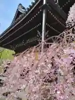 頂法寺(六角堂)(京都府)