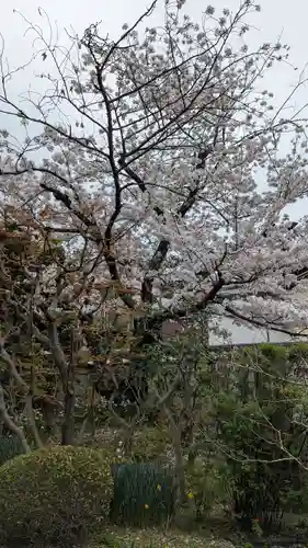 上宮王院聖徳寺(京都府)