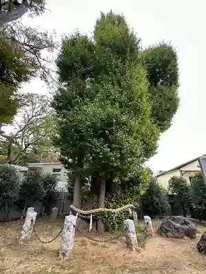 駒形堂(千葉県)