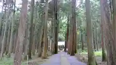 青玉神社の自然