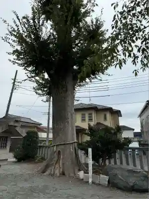 伊勢原大神宮(神奈川県)
