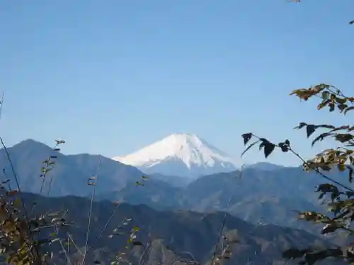 高尾山薬王院の景色