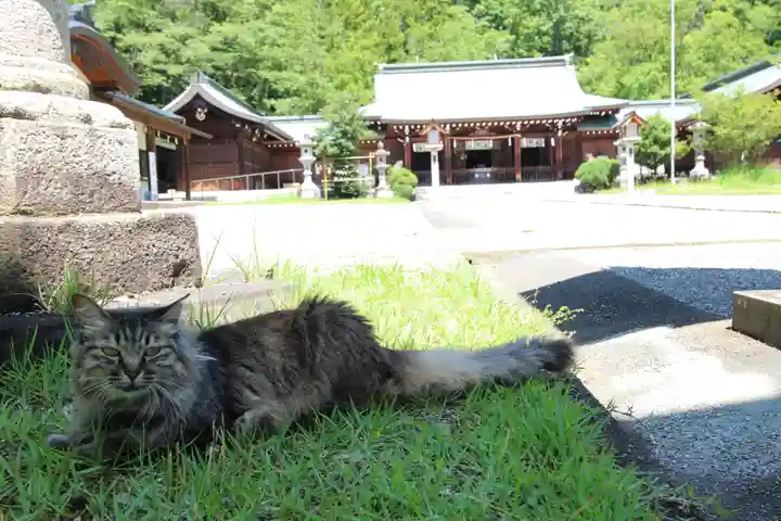 山梨縣護國神社(山梨県)