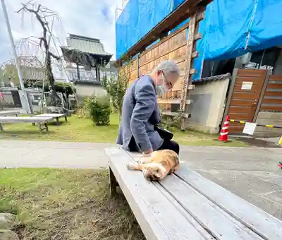 秩父札所十三番 慈眼寺(埼玉県)