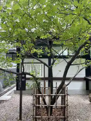 加納天満宮(岐阜県)