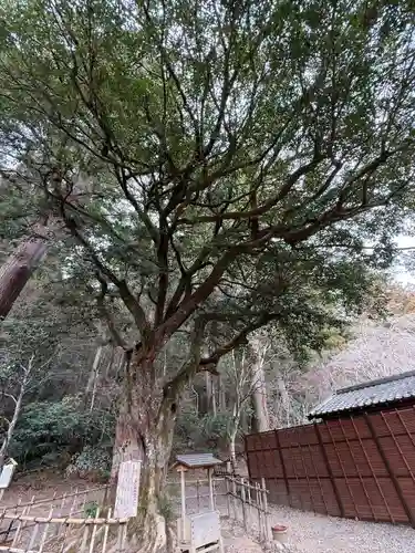 小國神社(静岡県)