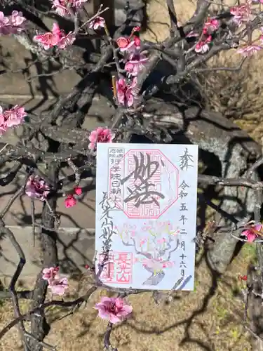 妙蓮寺(神奈川県)