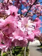 伊達神社の自然