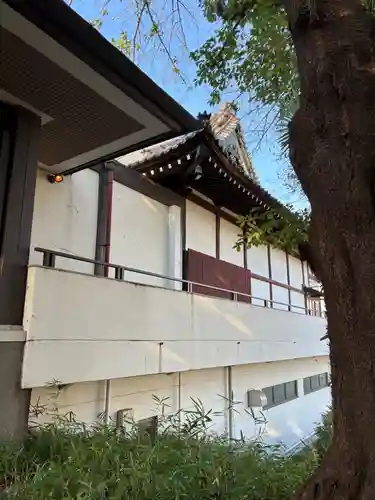 竜善寺(千葉県)