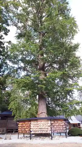 秋保神社の狛犬