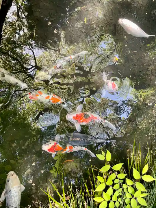 杵築大社(東京都)