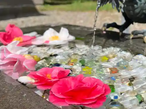 函館八幡宮の手水舎