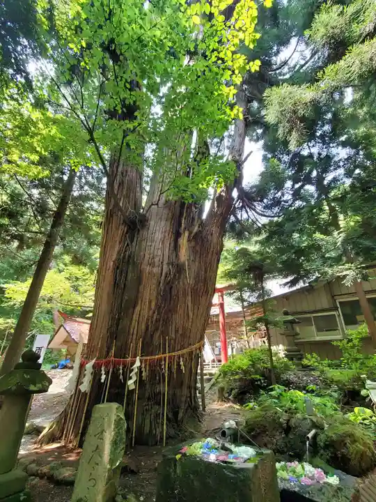 磐椅神社(福島県)