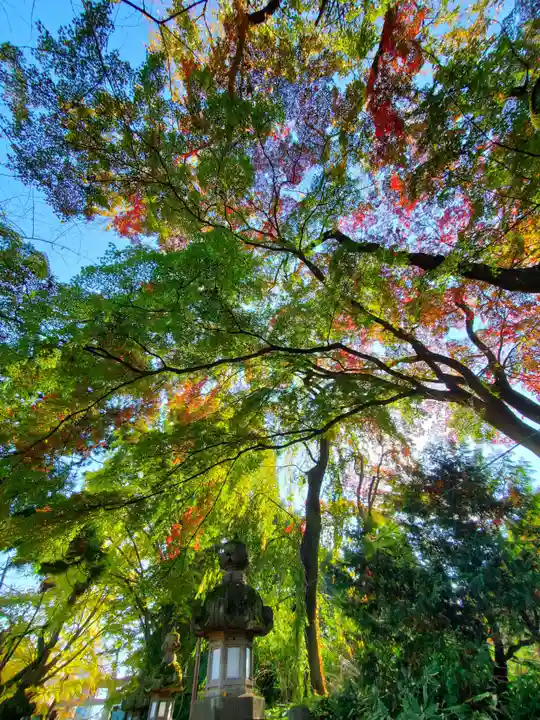 神炊館神社 ⁂奥州須賀川総鎮守⁂の自然