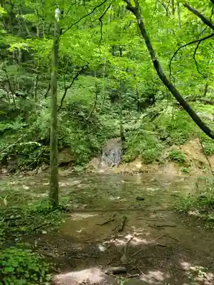 達沢不動滝の周辺