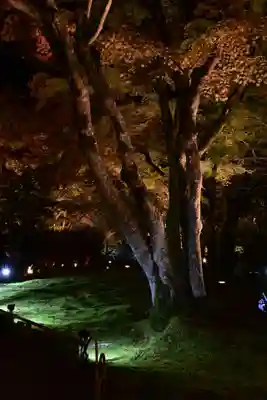 宝厳院(京都府)