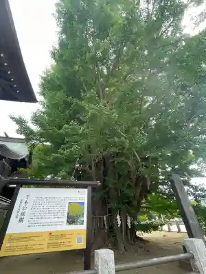 葛飾八幡宮(千葉県)