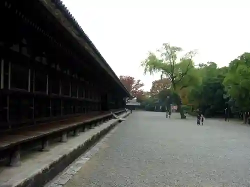 蓮華王院（三十三間堂）の本殿・本堂