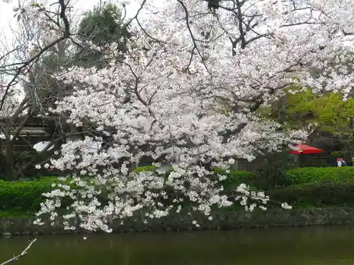 鶴岡八幡宮の庭園