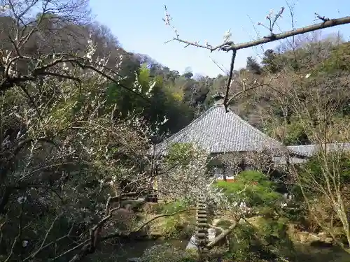 光則寺の庭園