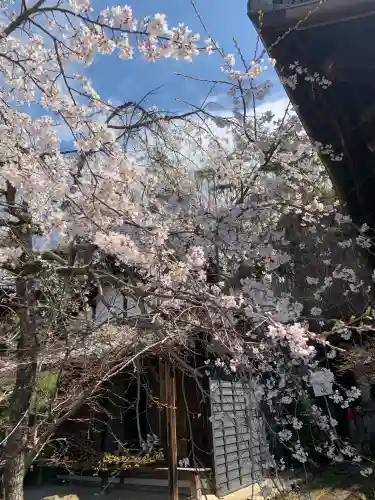 関善光寺の{uncategorized: "未分類", other: "その他", undefined: "問題あり", building: "その他建物", grave: "お墓", sacred_gate: "鳥居", guardian: "狛犬", statue: "像", buddha: "仏像", history: "歴史", nature: "自然", garden: "庭園", animal: "動物", pagoda: "塔", temizu: "手水舎", mountain_gate: "山門・神門", sanctuary: "本殿・本堂", subordinate: "末社・摂社", art: "芸術", scenery: "景色", jizo: "地蔵", ema: "絵馬", goshuin: "御朱印", omikuji: "おみくじ", items: "授与品その他", amulet: "お守り", goshuincho: "御朱印帳", eats: "食事", festival: "お祭り", votive_dance: "神楽", shichigosan: "七五三参", wedding: "結婚式", experience: "体験その他", initially: "初詣", around: "周辺", anti_infection: "感染症対策"}
