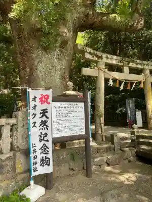仁井田神社の{uncategorized: "未分類", other: "その他", undefined: "問題あり", building: "その他建物", grave: "お墓", sacred_gate: "鳥居", guardian: "狛犬", statue: "像", buddha: "仏像", history: "歴史", nature: "自然", garden: "庭園", animal: "動物", pagoda: "塔", temizu: "手水舎", mountain_gate: "山門・神門", sanctuary: "本殿・本堂", subordinate: "末社・摂社", art: "芸術", scenery: "景色", jizo: "地蔵", ema: "絵馬", goshuin: "御朱印", omikuji: "おみくじ", items: "授与品その他", amulet: "お守り", goshuincho: "御朱印帳", eats: "食事", festival: "お祭り", votive_dance: "神楽", shichigosan: "七五三参", wedding: "結婚式", experience: "体験その他", initially: "初詣", around: "周辺", anti_infection: "感染症対策"}