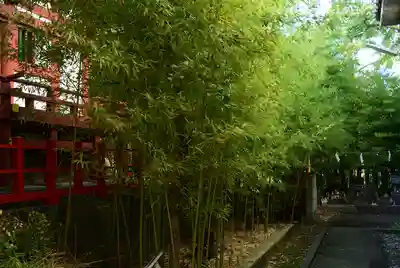 東神奈川熊野神社(神奈川県)