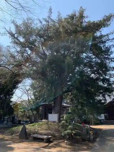 東源寺(千葉県)
