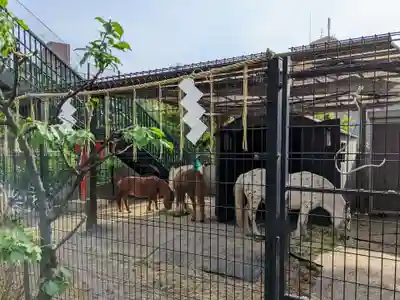 五方山熊野神社(東京都)