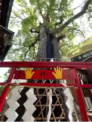 五方山熊野神社(東京都)