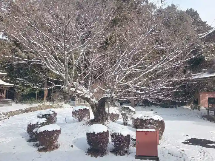朝光寺(兵庫県)